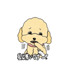 デイリーシュガーキャンディー (日本語)（個別スタンプ：28）