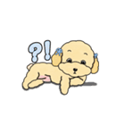 デイリーシュガーキャンディー (日本語)（個別スタンプ：29）