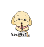 デイリーシュガーキャンディー (日本語)（個別スタンプ：30）