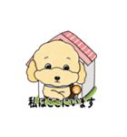 デイリーシュガーキャンディー (日本語)（個別スタンプ：37）