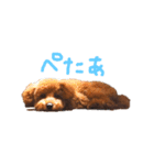 つなちゃんスタンプ（個別スタンプ：4）