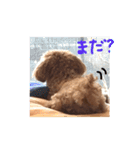 つなちゃんスタンプ（個別スタンプ：7）