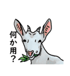 石垣可愛いもの（個別スタンプ：2）