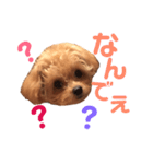 ちわぷぅのとうふと申します（個別スタンプ：4）