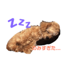 ちわぷぅのとうふと申します（個別スタンプ：5）