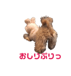ちわぷぅのとうふと申します（個別スタンプ：15）