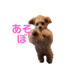 ちわぷぅのとうふと申します（個別スタンプ：31）