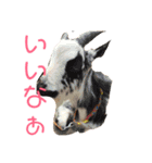 みゆま（個別スタンプ：8）
