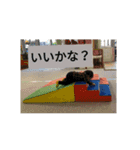 岳の使えそうなスタンプ（個別スタンプ：5）