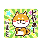 毎日使える！柴犬まこと（個別スタンプ：31）