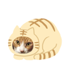 銀＆チー太（個別スタンプ：5）