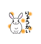 うさぎのあられ あいさつ2（個別スタンプ：8）