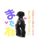 シュナウザー(アイクとシルト)3（個別スタンプ：7）