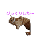とらくんからのメッセージ（個別スタンプ：11）