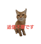 とらくんからのメッセージ（個別スタンプ：16）