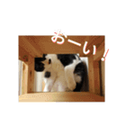ゆきちゃんスタンプ★（個別スタンプ：5）