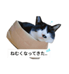 ゆきちゃんスタンプ★（個別スタンプ：6）