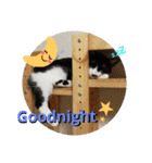 ゆきちゃんスタンプ★（個別スタンプ：7）