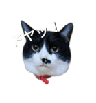 ゆきちゃんスタンプ★（個別スタンプ：9）