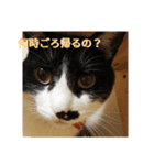 ゆきちゃんスタンプ★（個別スタンプ：11）