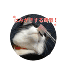 ゆきちゃんスタンプ★（個別スタンプ：12）