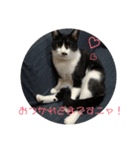 ゆきちゃんスタンプ★（個別スタンプ：16）