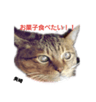 矢﨑 2（個別スタンプ：1）