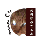 矢﨑 2（個別スタンプ：4）