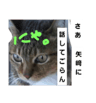 矢﨑 2（個別スタンプ：9）