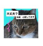 矢﨑 2（個別スタンプ：10）