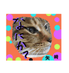 矢﨑 2（個別スタンプ：11）