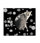 矢﨑 2（個別スタンプ：12）