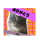 矢﨑 2（個別スタンプ：13）