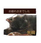 矢﨑 2（個別スタンプ：14）