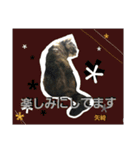 矢﨑 2（個別スタンプ：15）