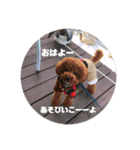 毎日虎太朗②（個別スタンプ：7）