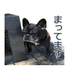 ライノ Vol.2（個別スタンプ：4）