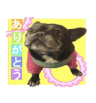 ライノ Vol.2（個別スタンプ：11）