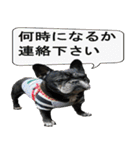 ライノ Vol.2（個別スタンプ：13）
