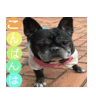 ライノ Vol.2（個別スタンプ：14）
