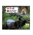 ライノ Vol.2（個別スタンプ：16）
