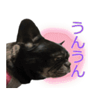 ライノ Vol.2（個別スタンプ：17）