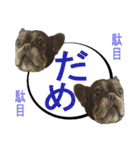 ライノ Vol.2（個別スタンプ：24）