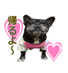 ライノ Vol.2（個別スタンプ：34）