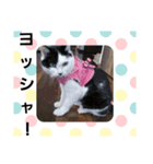 くうせんせい1（個別スタンプ：1）