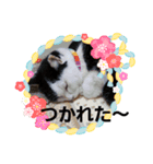 くうせんせい1（個別スタンプ：2）