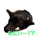 オラフの日常（個別スタンプ：9）