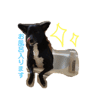オラフの日常（個別スタンプ：11）