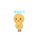 かわいいぴったん（個別スタンプ：1）