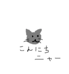ねこのおしゃべり（個別スタンプ：1）